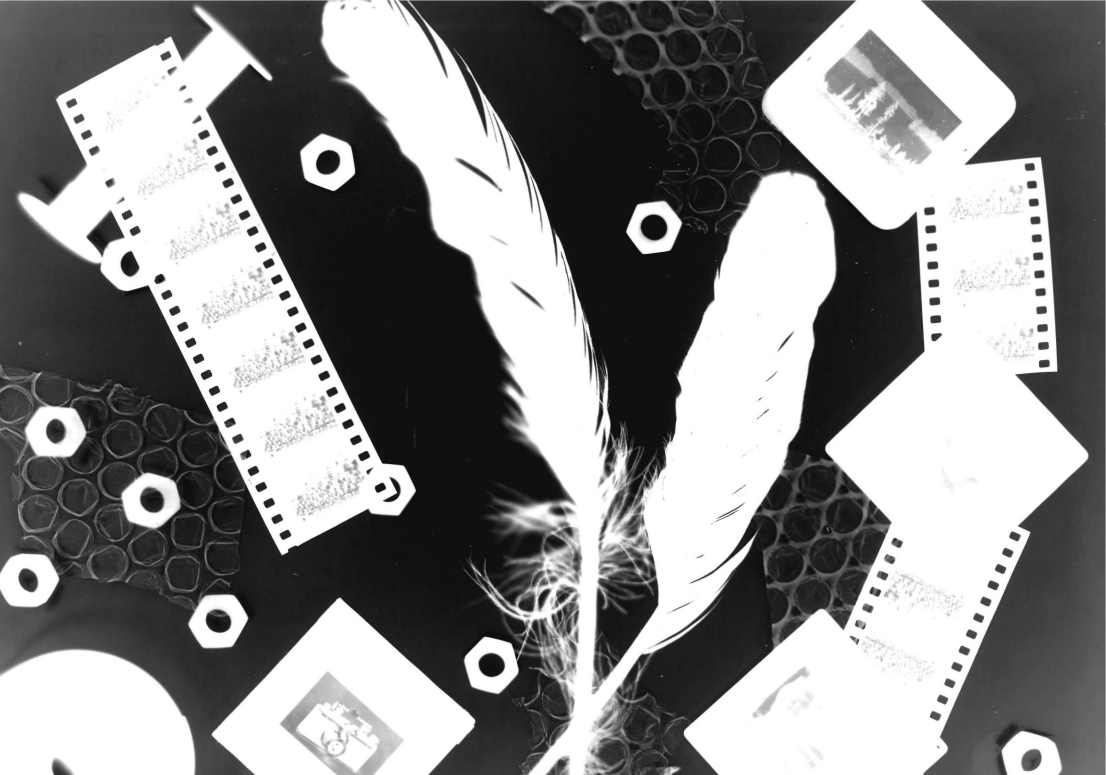 KI generiert: Das Bild zeigt eine künstlerisch angeordnete Komposition aus zwei Federn, Negativfilmstreifen, Diapositiven, Sechskantmuttern und einem Stück Wabenstruktur vor einem dunklen Hintergrund. Alle Objekte heben sich kontrastreich in Weiß ab.